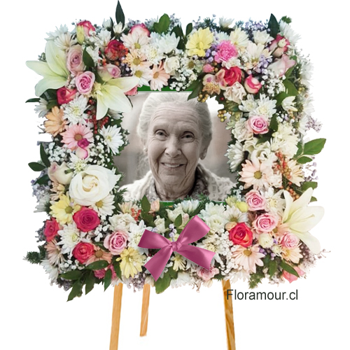 Emotiva corona con la imagen del fallecido enmarcada con flores mixtas. (65x65 cms) Este servicio se encuentra disponible para entregas solo dentro de Santiago. Para despacho el mismo día, debe ordenar de Lunes a Viernes hasta las 15:00 hrs. Para entregas en días Sábado, Domingo y Festivos, se recibirán órdenes hasta las 15:00 horas del día hábil anterior. Se recomienda consultar por teléfono para coordinar el envío de su fotografía digitalizada u otra imagen corporativa a su gusto.(queda 25 cms de imagen) Tel. 222341793 - +56998705440 adm.floramour@gmail.com SELECCIONE COLORIDO